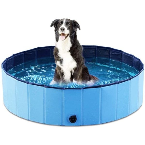 Portable Dog Pool