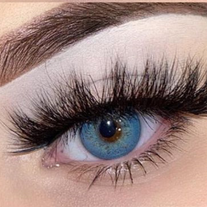 Russia Blue | 1 Year-eveVeye