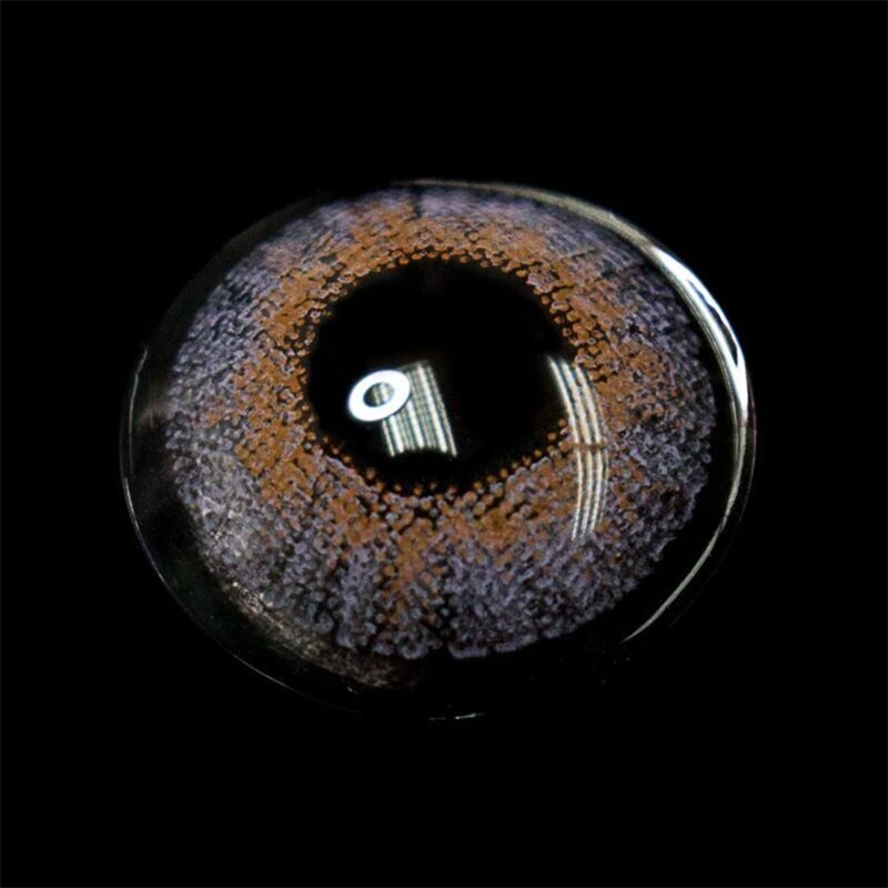 Three Tone Purple | 1 Year-eveVeye