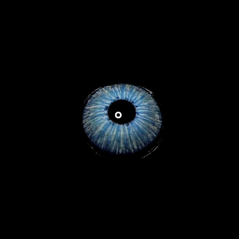 New York Blue | 1 Year-eveVeye