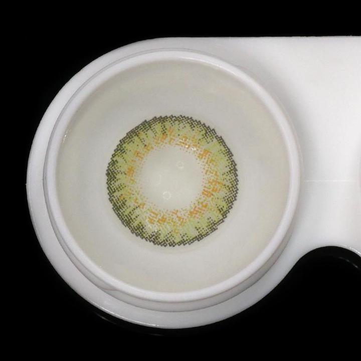 Fresh Green | 1-Day~5 Pairs-eveVeye