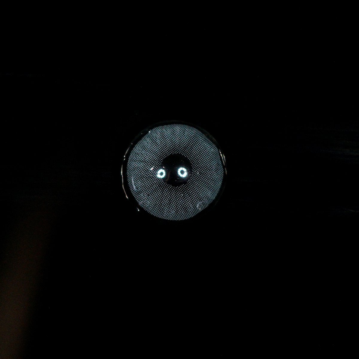 HID Grafite Grey | 1-Day~5 Pairs-eveVeye