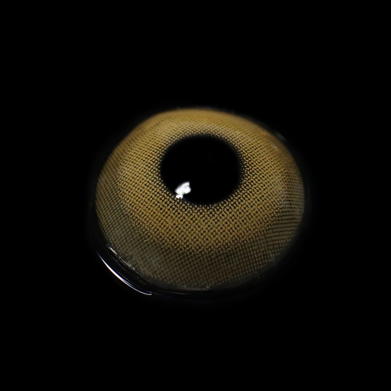 Pixie Brown | 1 Year-eveVeye