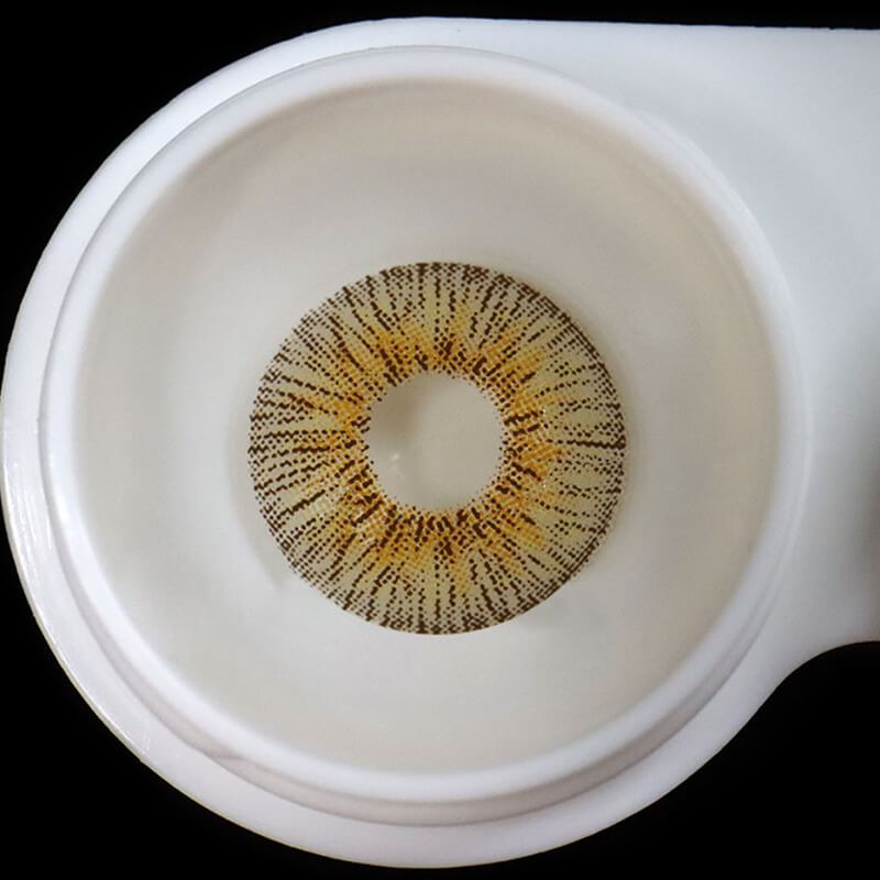 Retro Panama | 1 Year-eveVeye