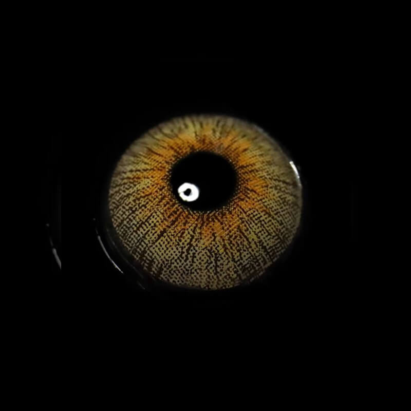 Retro Panama | 1 Year-eveVeye