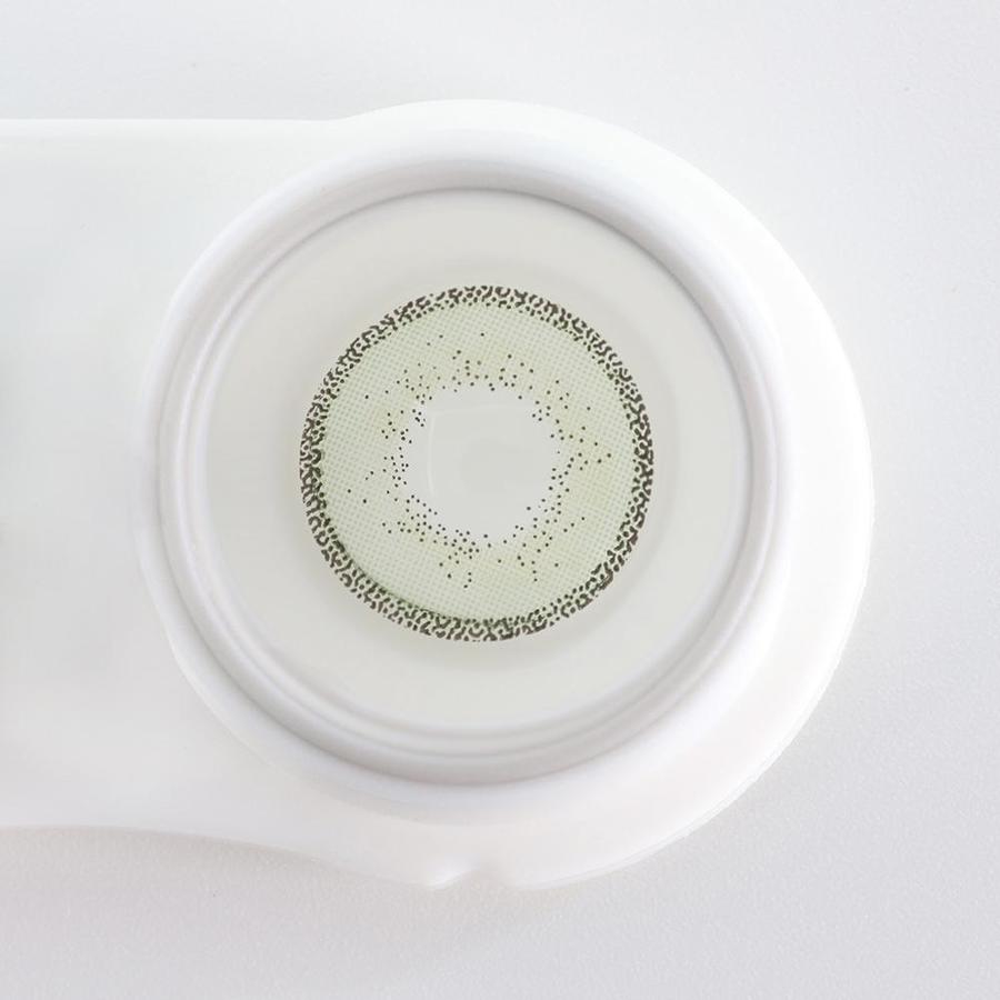 EDGE Green | 1 Year-eveVeye