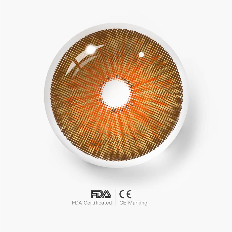 New York N Hazel | 1 Year-eveVeye