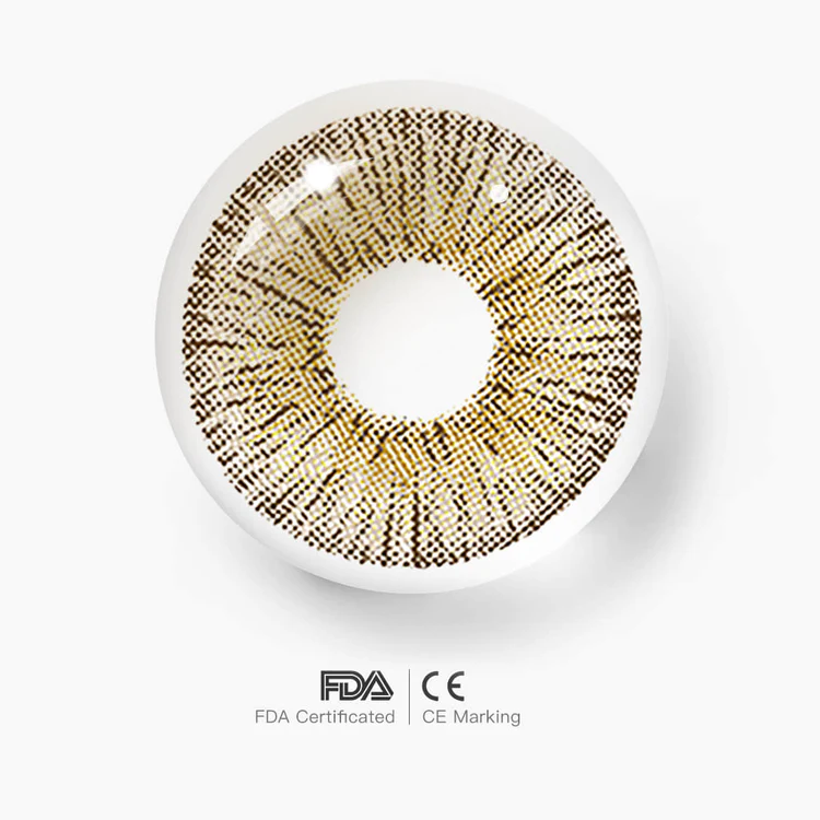 Retro Panama | 1 Year-eveVeye