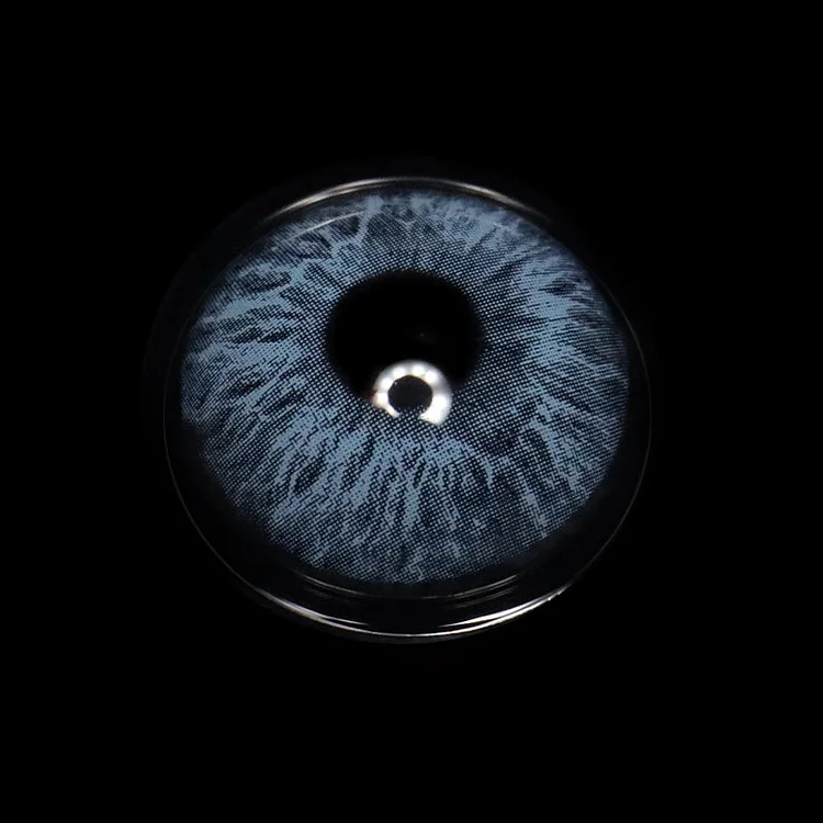 Rococo Passion Blue | 1 Year-eveVeye