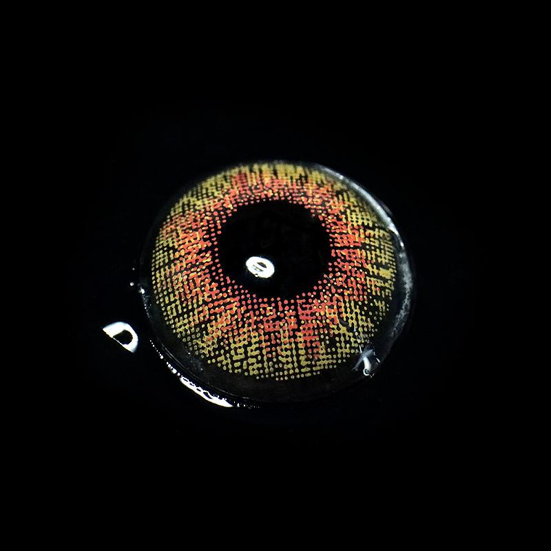 Three Tone Honey Brown | 1 Year-eveVeye