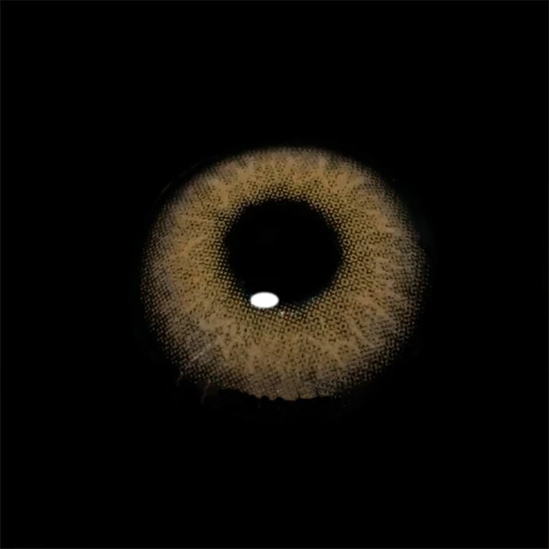 Himalaya Gray | 1 Year-eveVeye