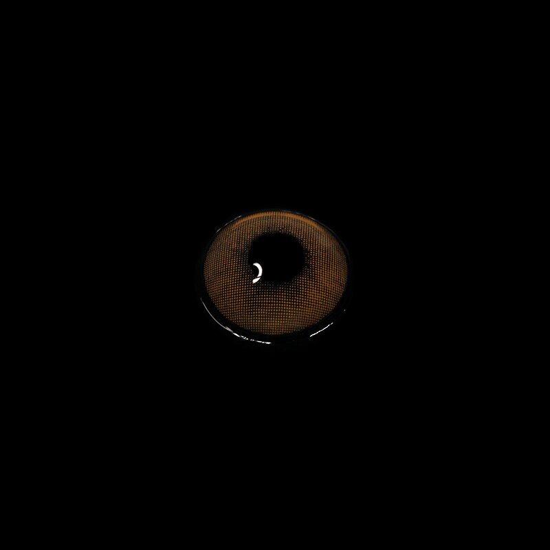 Polar Lights Brown | 1 Year-eveVeye