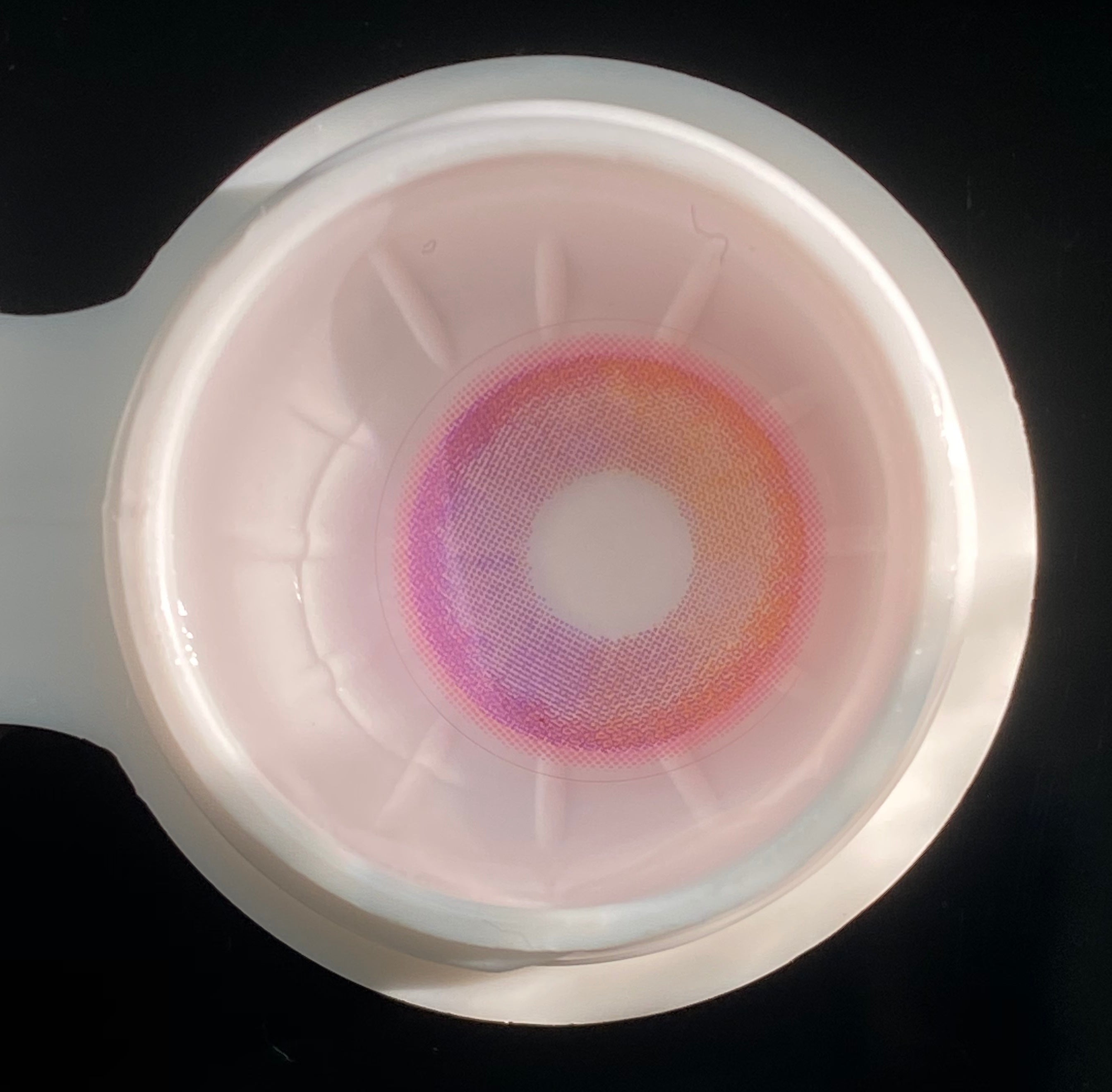 [New] Hawaii Orange | 1 Year-eveVeye