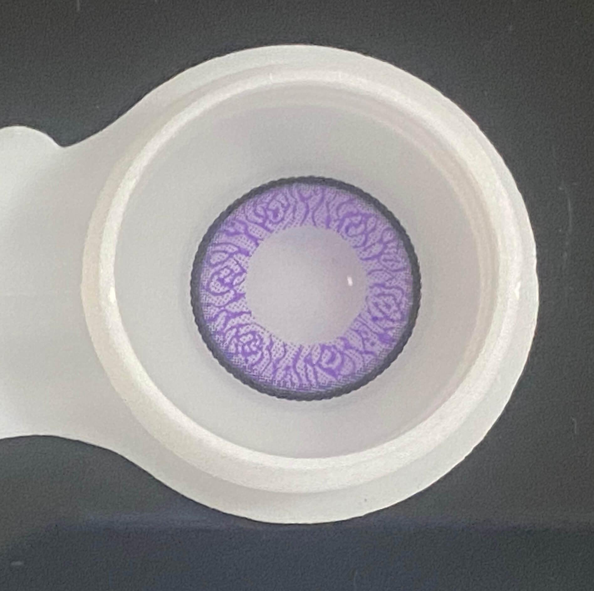 Rose Purple | 1 Year-eveVeye