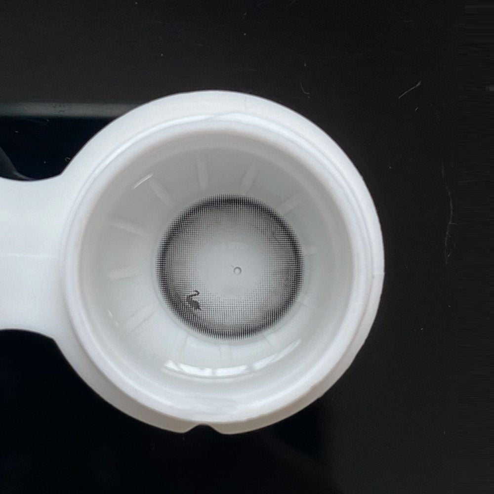 [New] Swan Gray | 1 Year-eveVeye