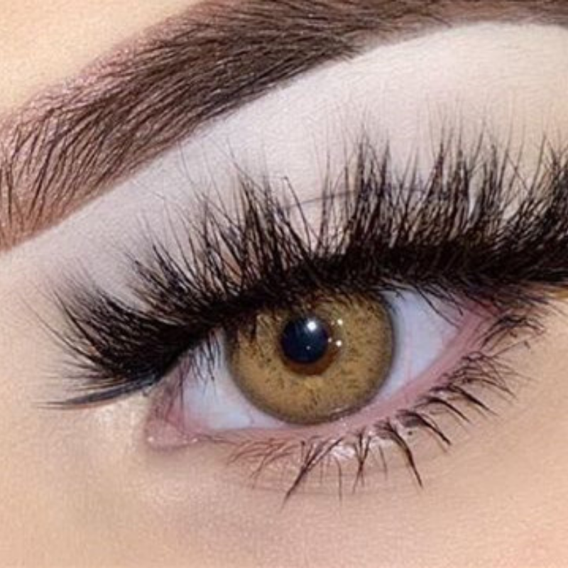 Russia Brown | 1 Year【Prescription】-everylenses