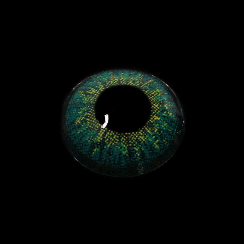 Three Tone Kallaite Turquoise Green | 1 Year-everylenses