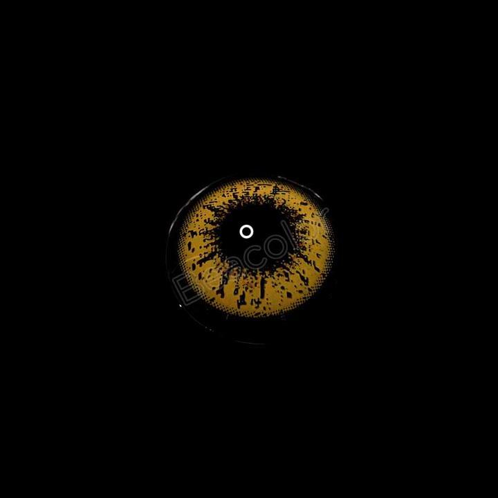 Love Word Yellow | 1 Year-everylenses