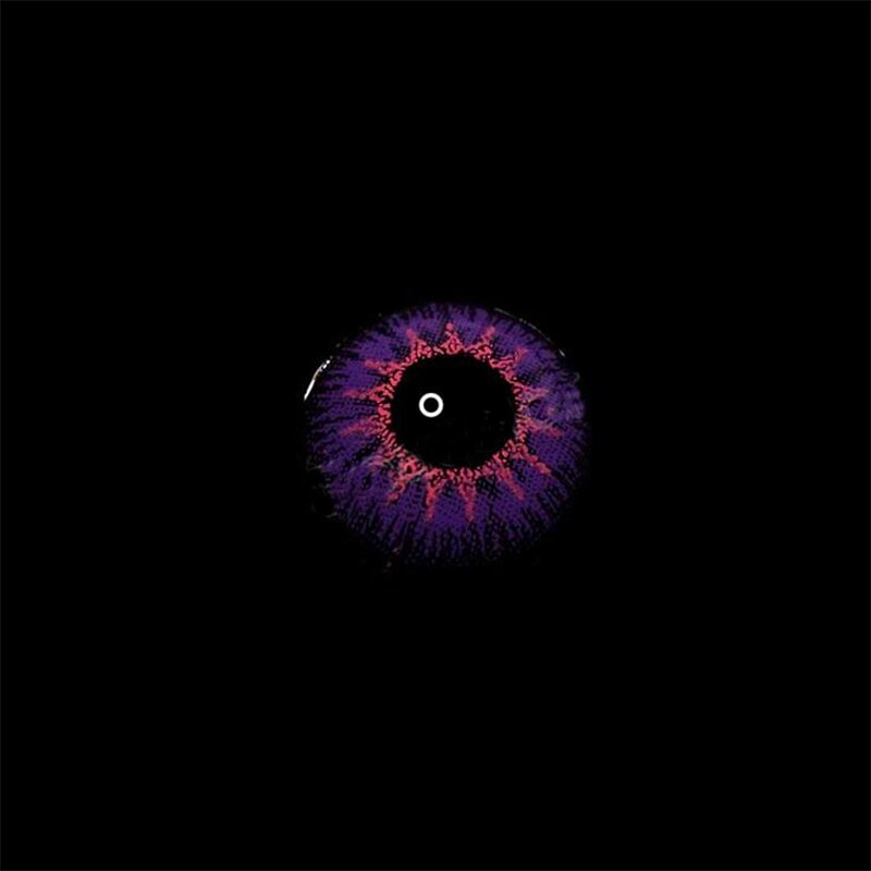 Vika Tricolor Purple | 1 Year-everylenses