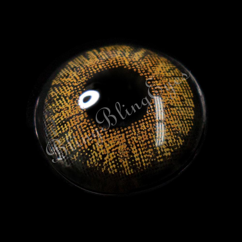 Three Tone Hazel | 1 Year【Prescription】-everylenses