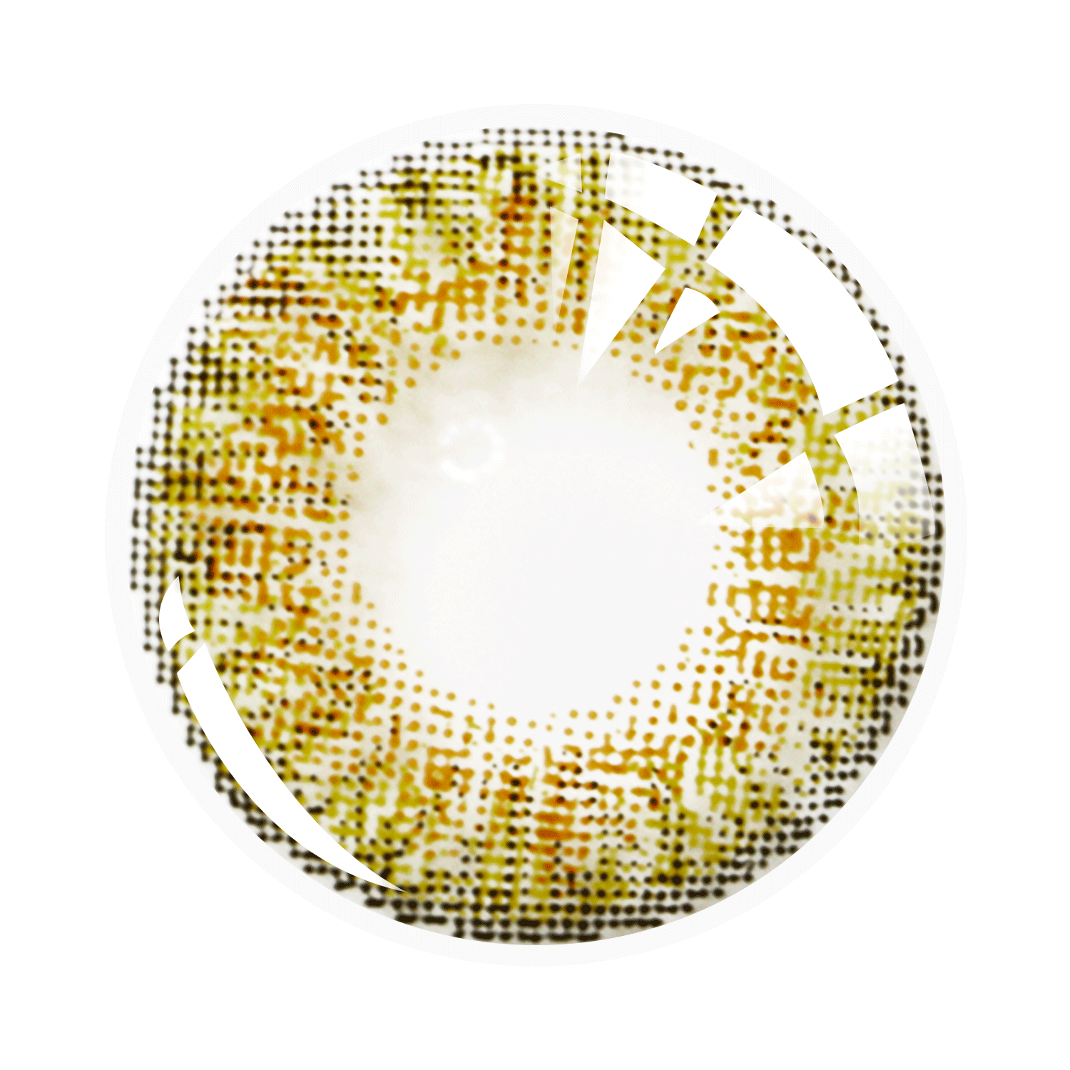 Three Tone Series| 1 Year-everylenses