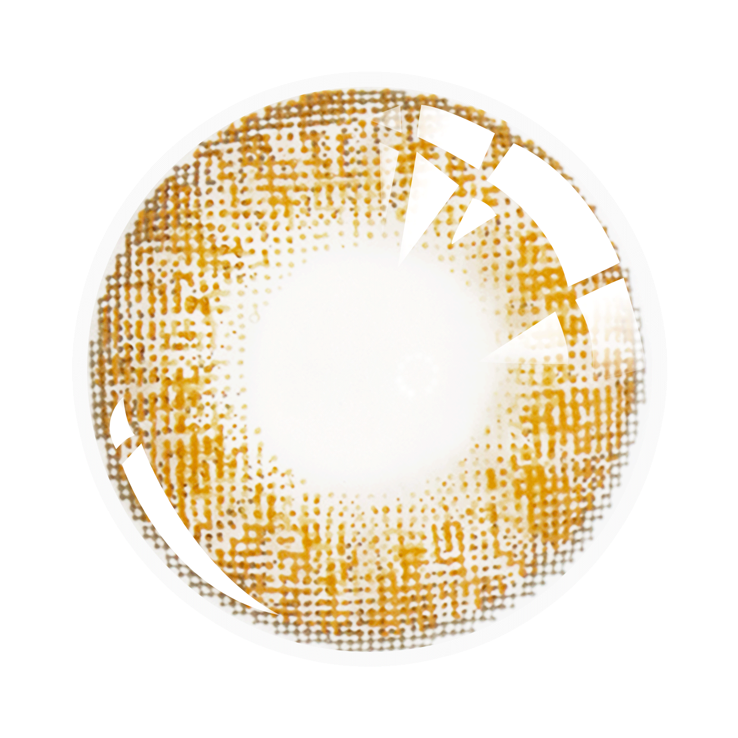 Three Tone Series| 1 Year-everylenses