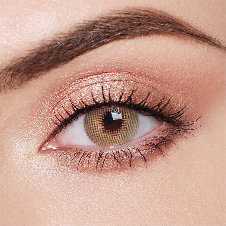 Classical Coffee Brown | 1 Year-everylenses