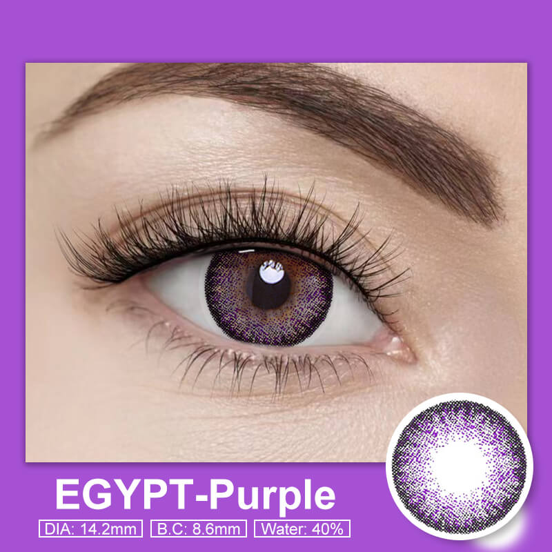 Egypt Purple | 1 Year【PRESCRIPTION】-everylenses