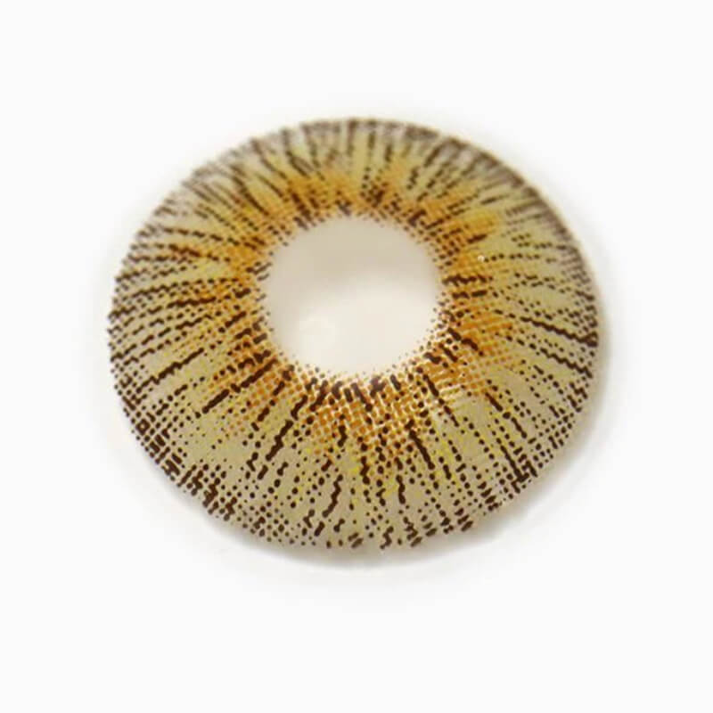 Retro Panama | 1 Year-everylenses