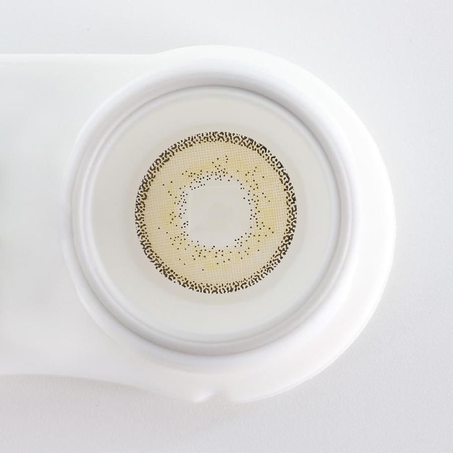 EDGE Brown | 1 Year【Prescription】-everylenses