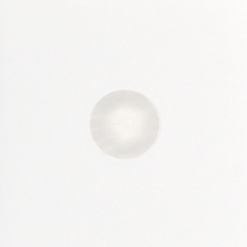 Polar Lights Grey | 1 Year-everylenses