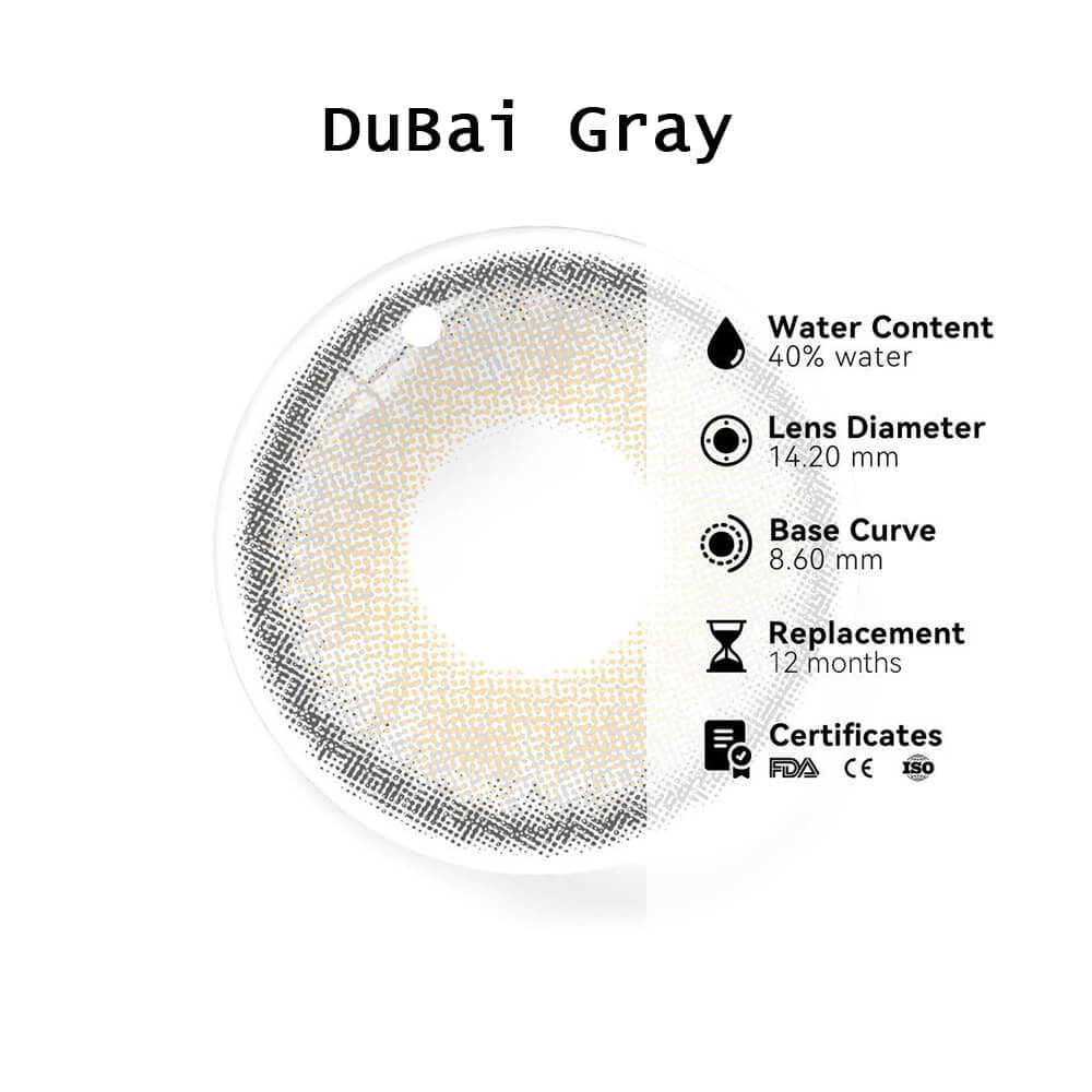 Dubai Gray | 1 Year-everylenses