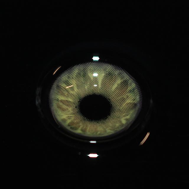 Gem Brown | 1 Year-everylenses