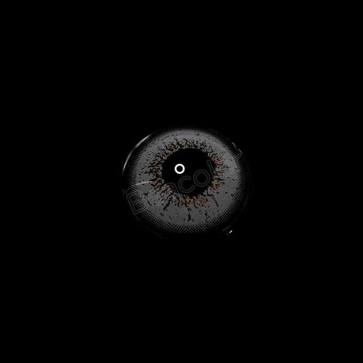 Love Word Gray | 1 Year-everylenses