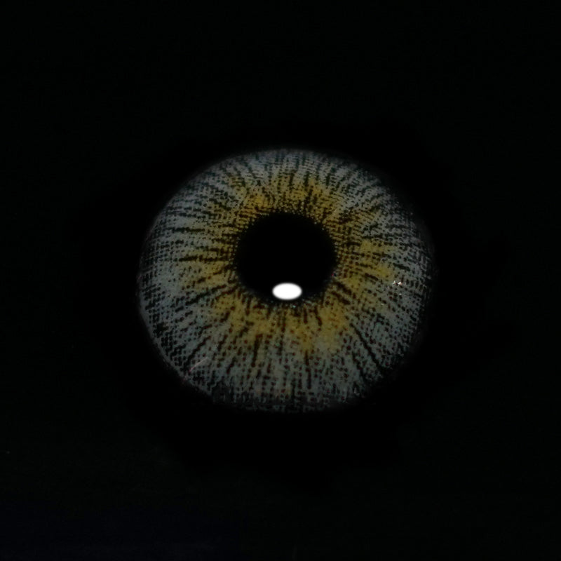 Retro Hawaii | 1 Year-everylenses