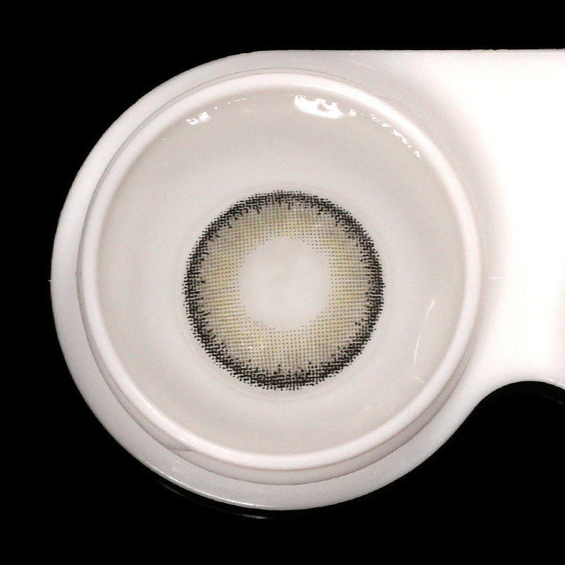 Egypt Gray | 1 Year【PRESCRIPTION】-everylenses