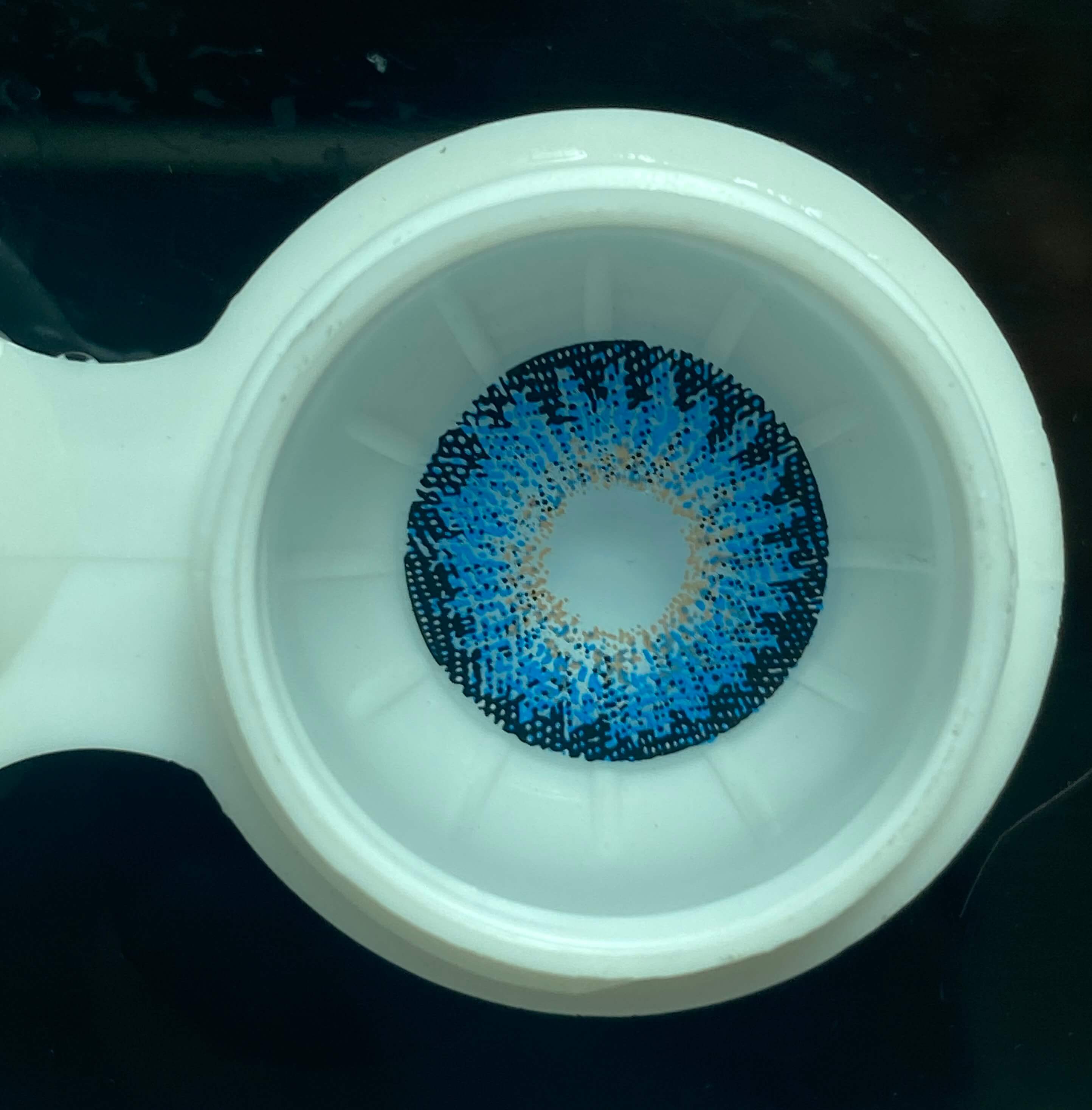 Forest Ember Blue | 1 Year-everylenses