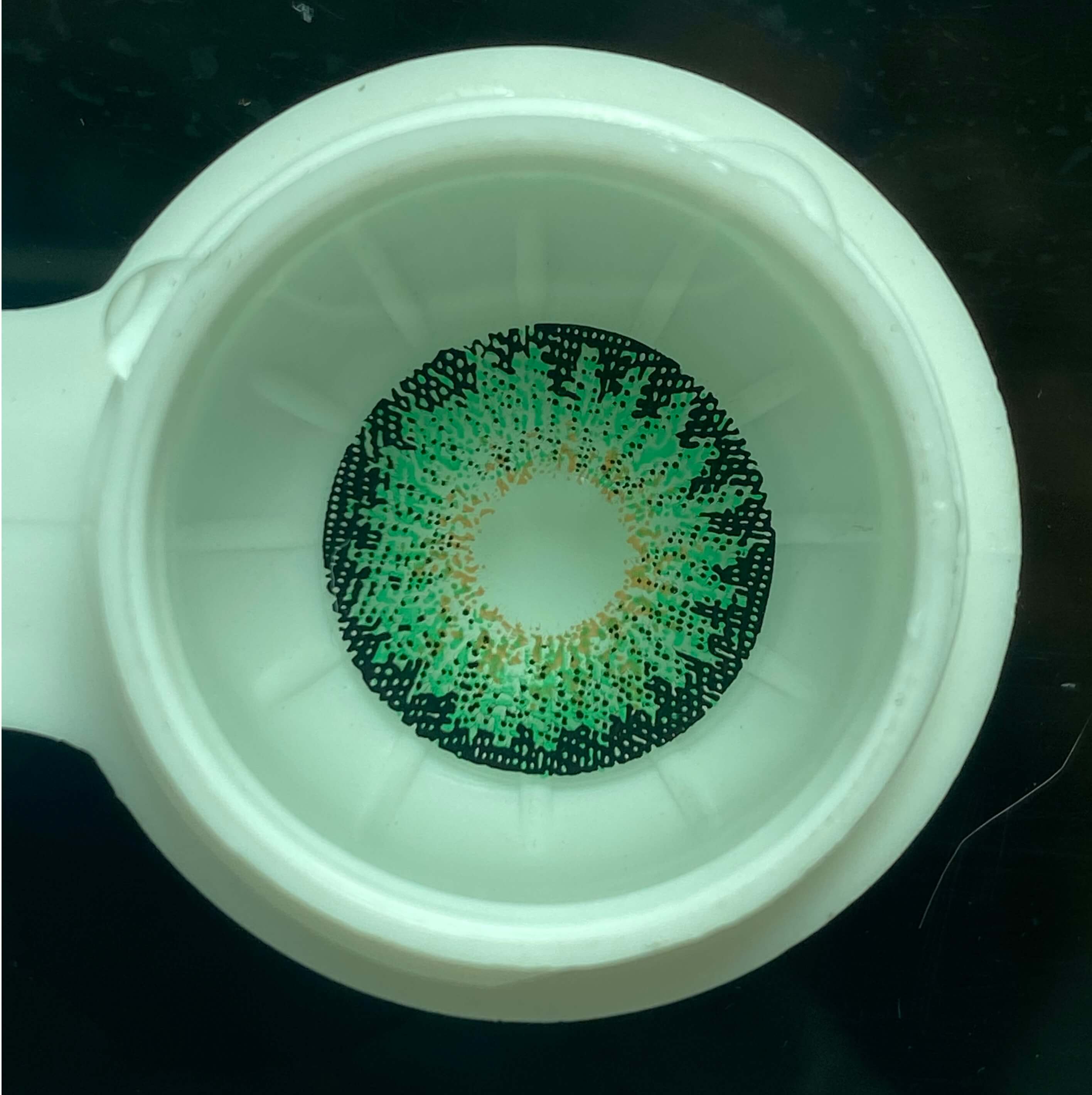 Forest Ember Green | 1 Year-everylenses