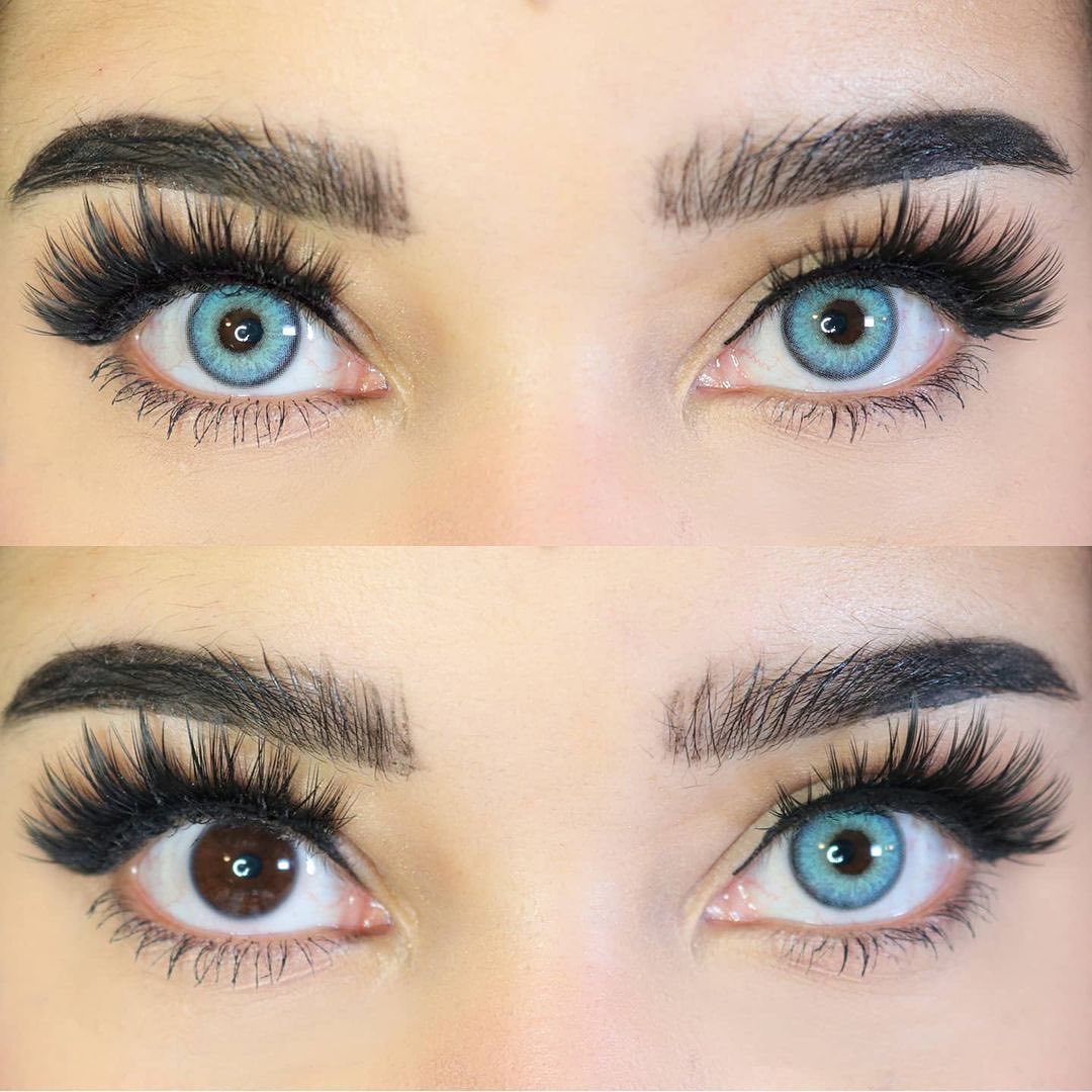 Himalaya Blue | 1 Year-everylenses