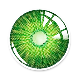 New York Green | 1 Year-everylenses