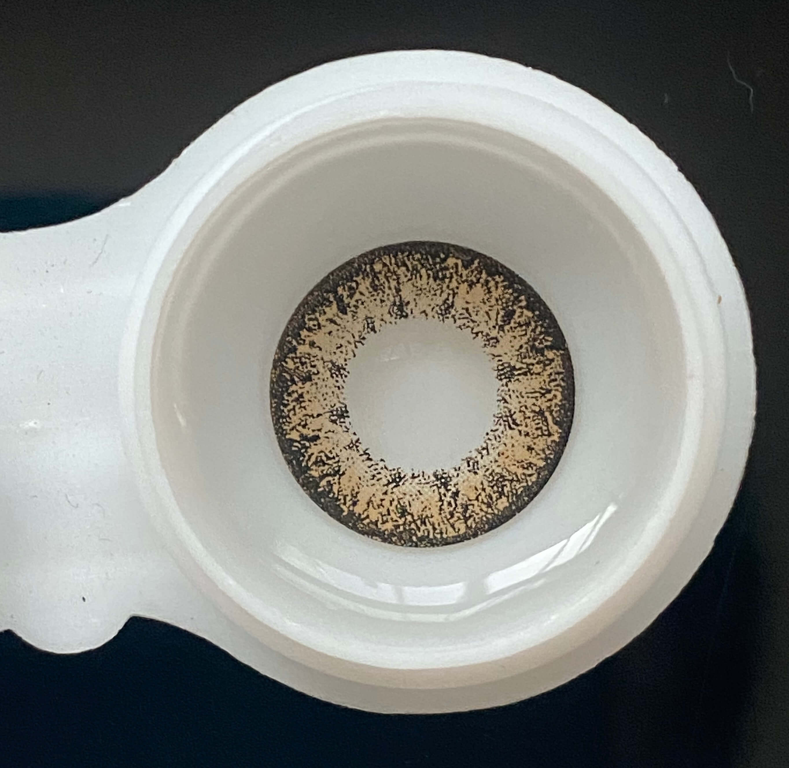 Pluto Brown | 1 Year-everylenses