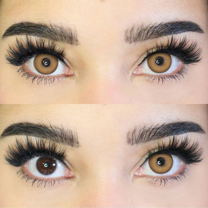 Sorayama Brown | 1 Year-everylenses