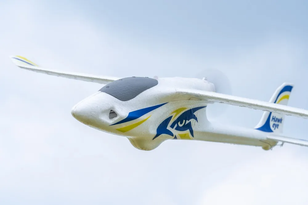 Arrows Hawkeye 600mm RTF-HOBBY ZONE