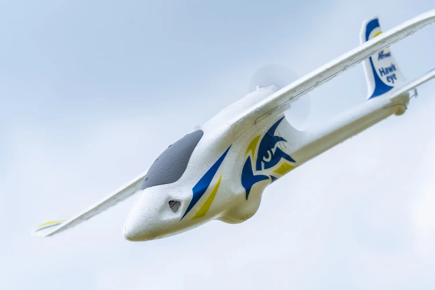 Arrows Hawkeye 600mm RTF-HOBBY ZONE