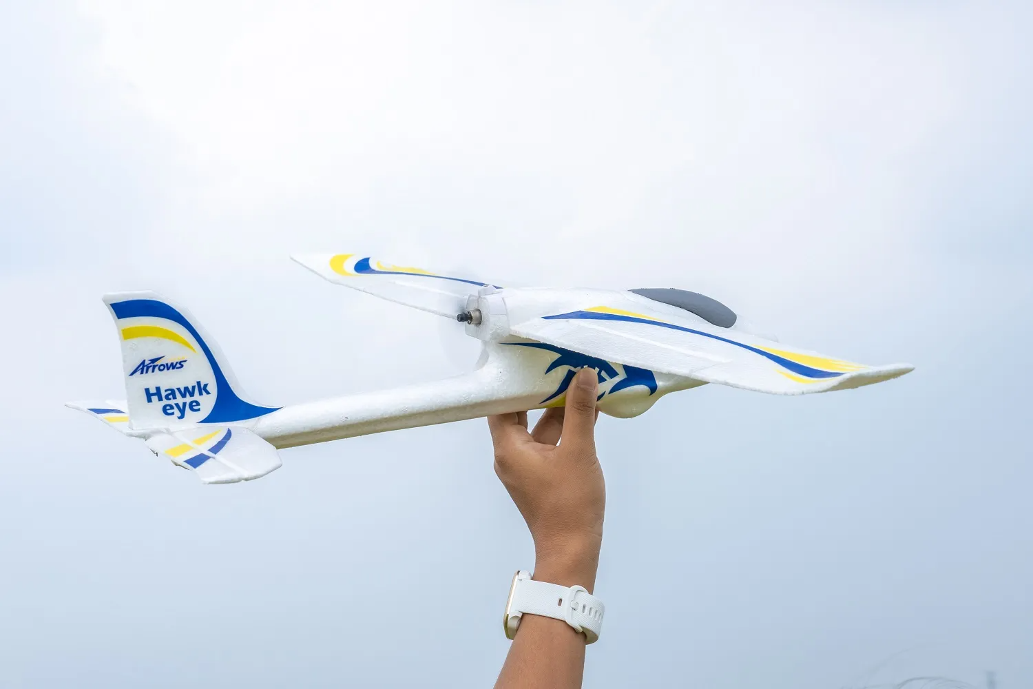 Arrows Hawkeye 600mm RTF-HOBBY ZONE