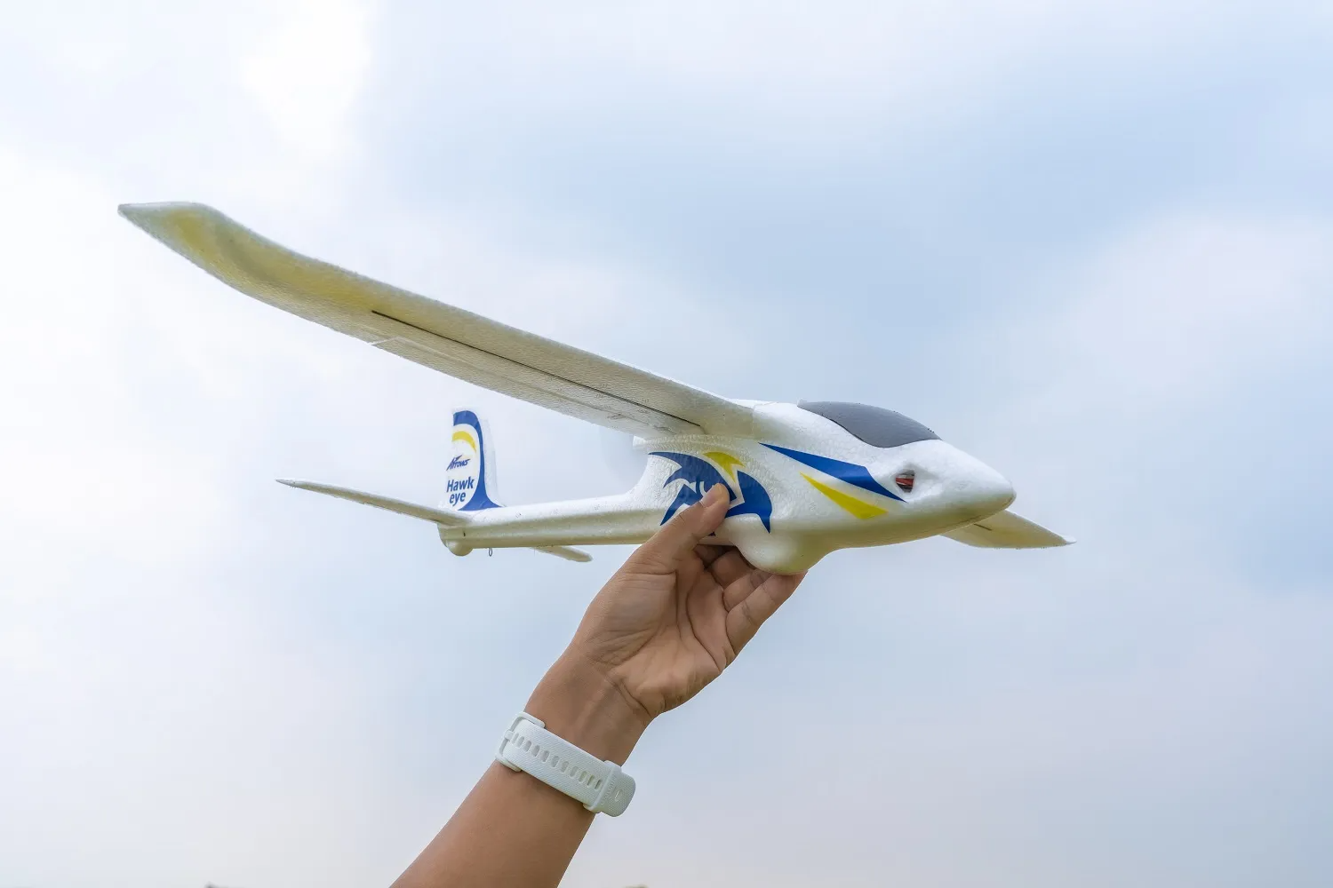 Arrows Hawkeye 600mm RTF-HOBBY ZONE