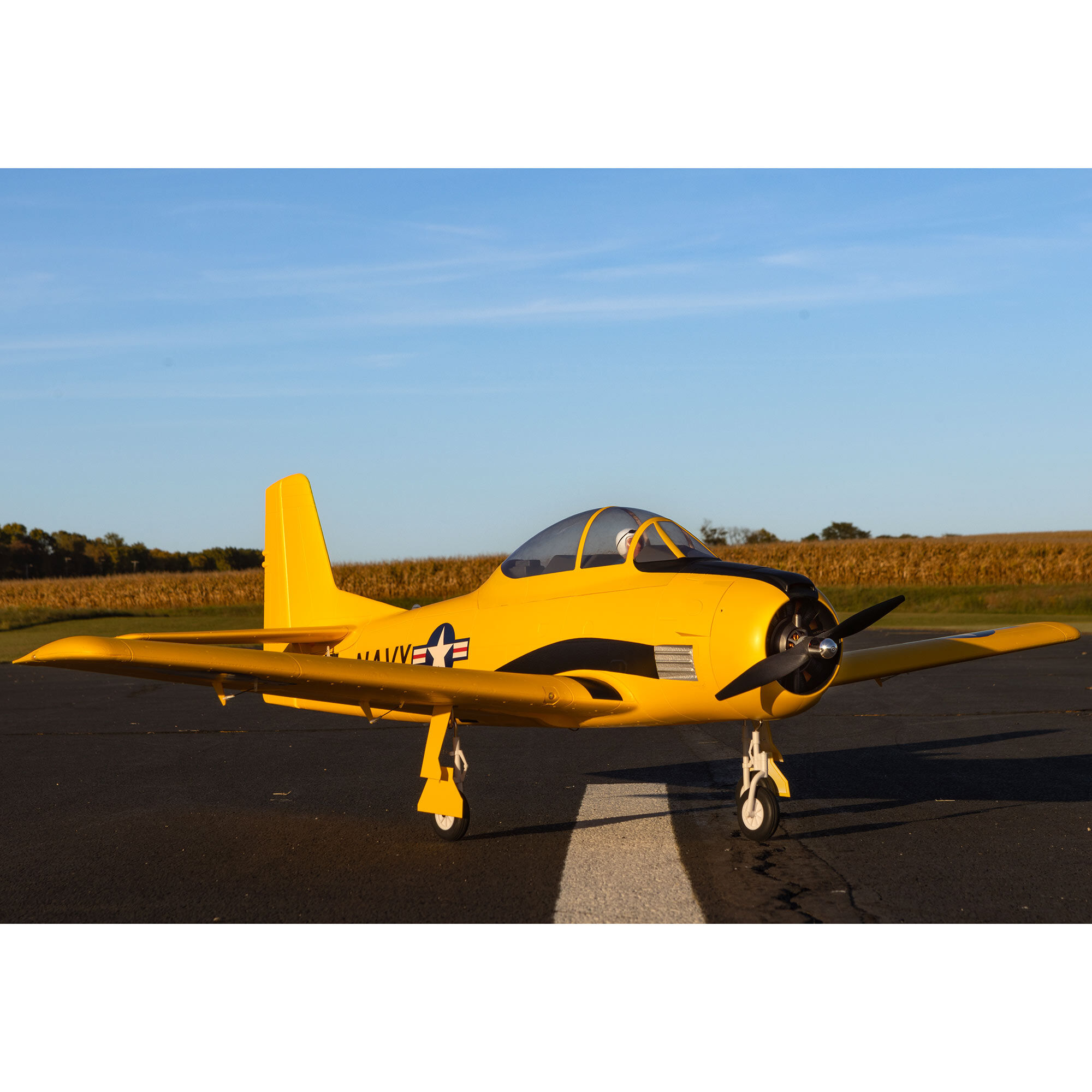 Carbon-Z T-28 Trojan 2.0m with Smart BNF Basic-HOBBY ZONE