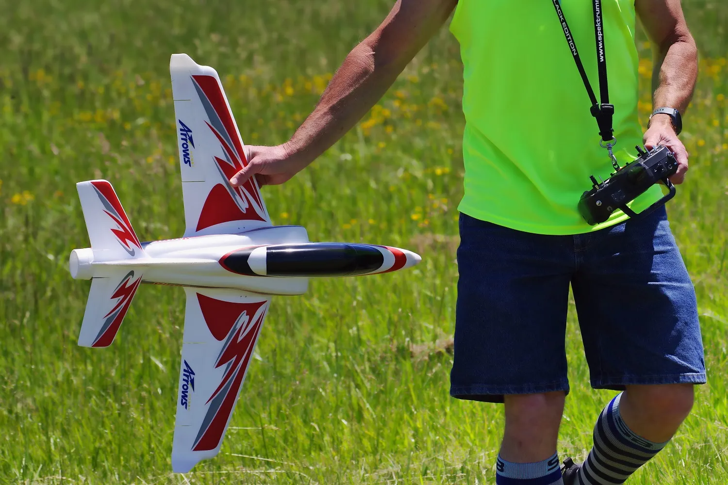 Arrows Viper 50mm EDF PNP with Vector Flight Stabilization System-HOBBY ZONE