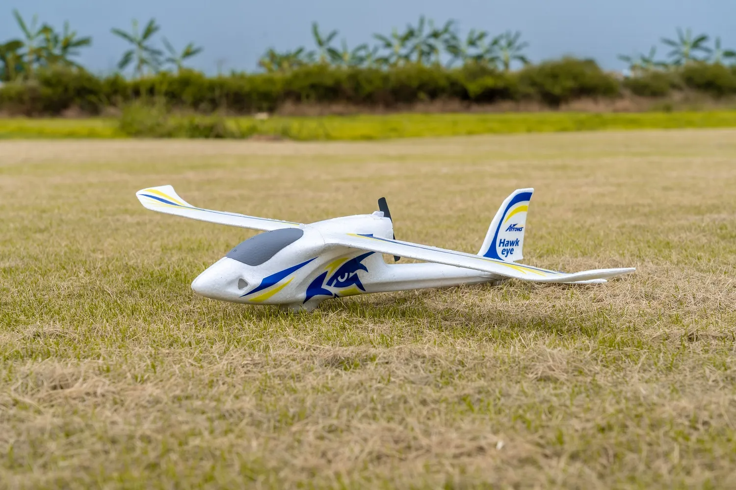 Arrows Hawkeye 600mm RTF-HOBBY ZONE