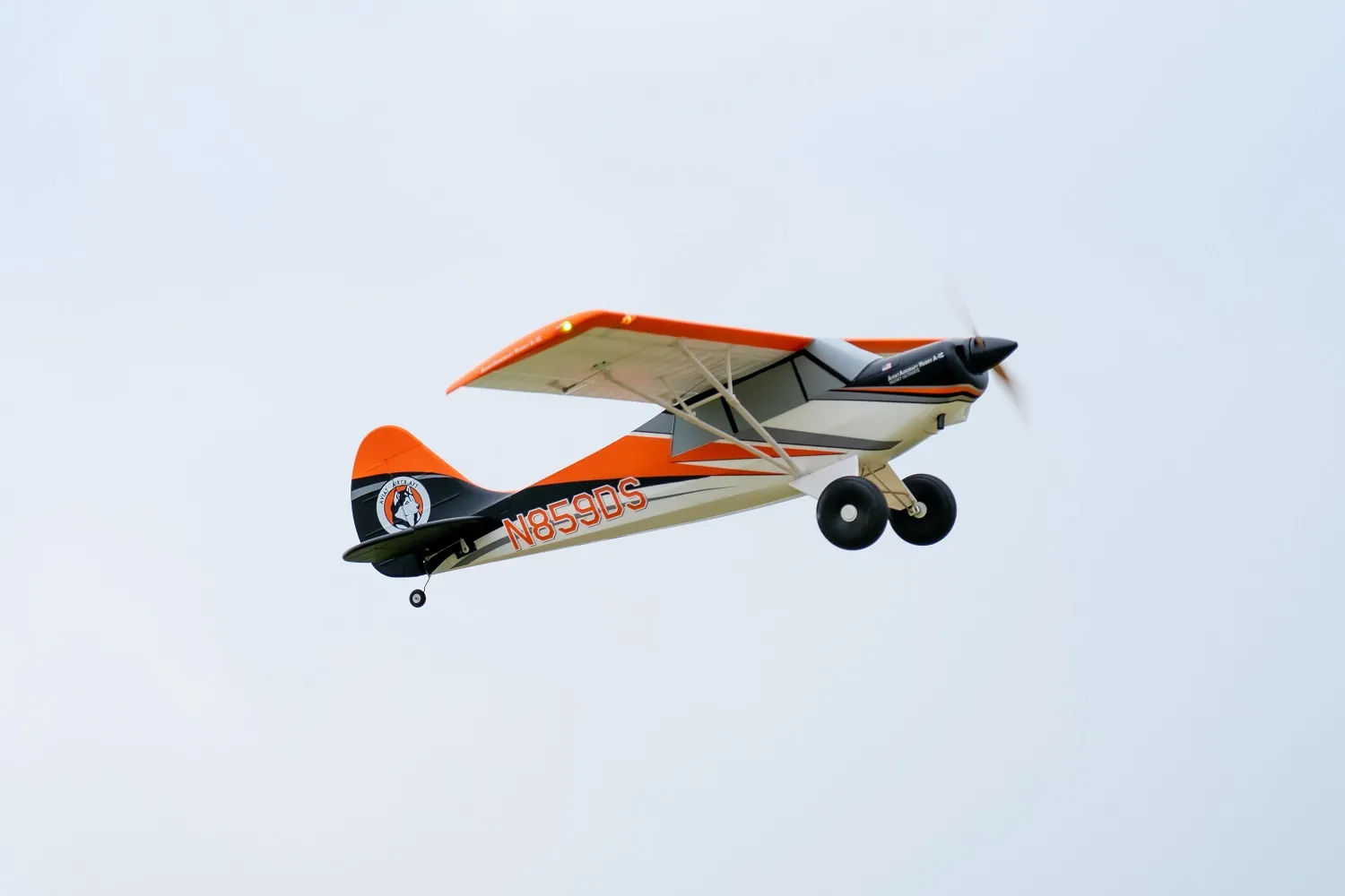 Arrows Husky 1800mm PNP Ultimate with Vector Flight Stabilization System-HOBBY ZONE